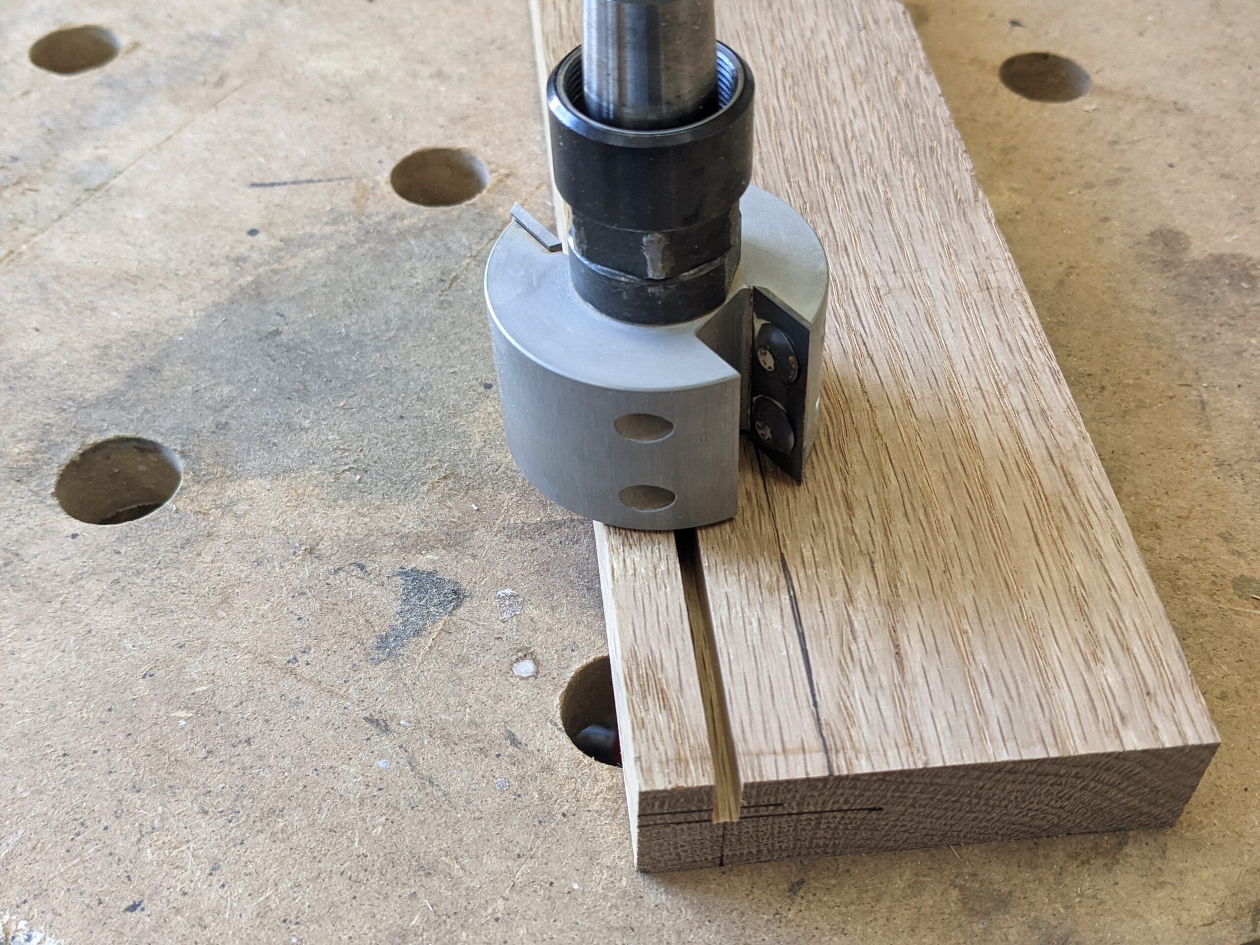 Eichentür.PORTRAIT Eichentür