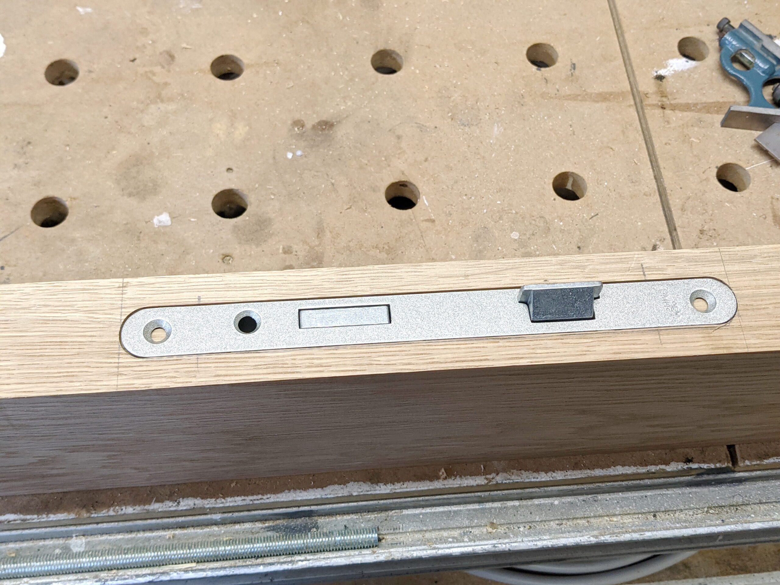 Eichentür.PORTRAIT Eichentür