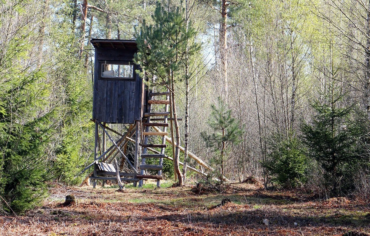 Jagdschein Jagdansitz