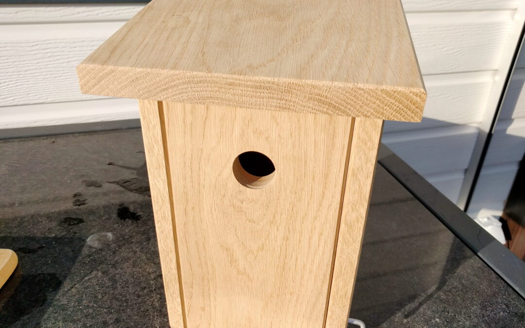 DIY Nistkasten – dein neues Highlight für Garten & Balkon