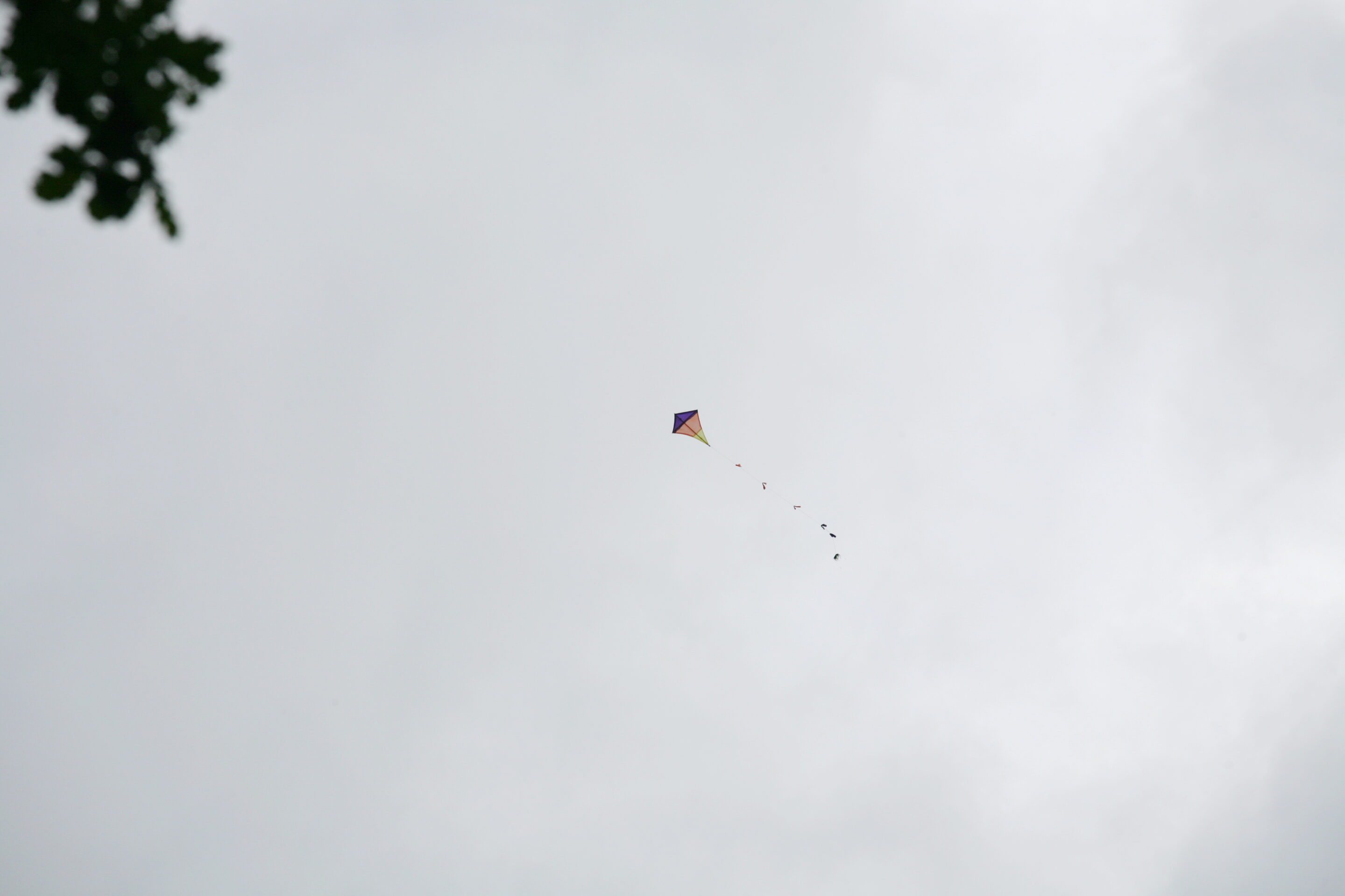 Flugdrachen selber bauen