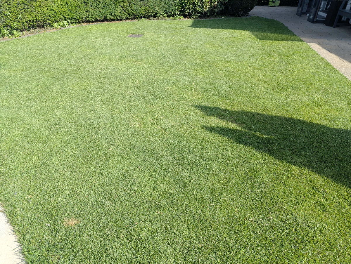 Rasen Gartenbewässerung